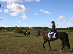 IMG_4191-006-redigeret